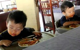 Ngủ hay ăn spaghetti?